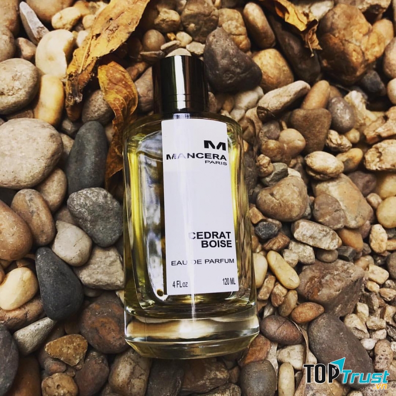 Nước Hoa Unisex Mancera Paris Cedrat Boise EDP