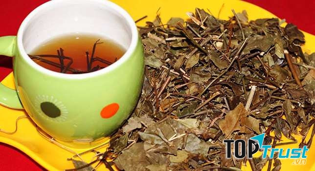 Ảnh minh họa - nguồn internet