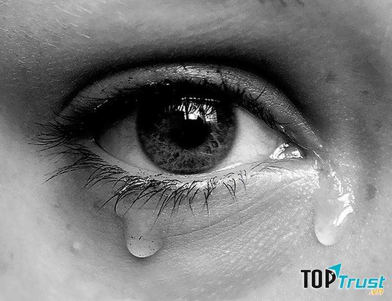 Nước mắt được lọc từ máu