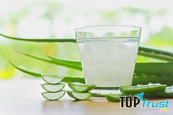 Cây nha đam đem đến những công dụng về lĩnh vực y học rất thần kì