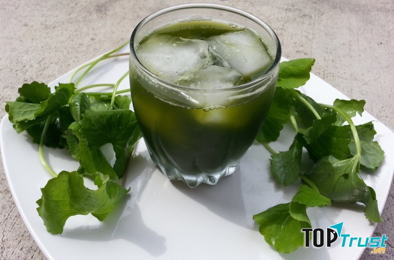 Nước rau má giải nhiệt cho mùa hè