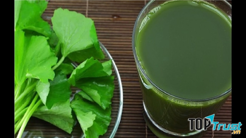 Nước ép rau má giúp thanh nhiệt cơ thể hiệu quả