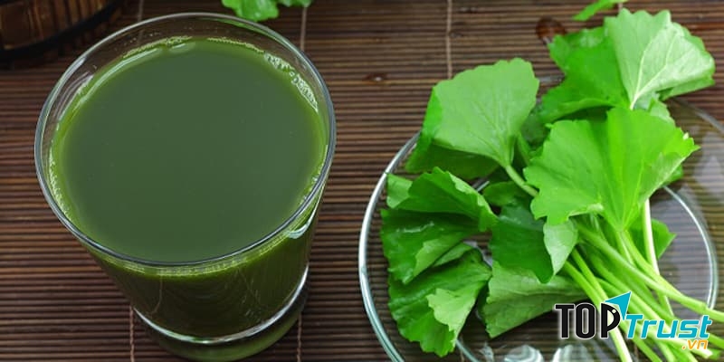 Ảnh minh họa - nguồn internet