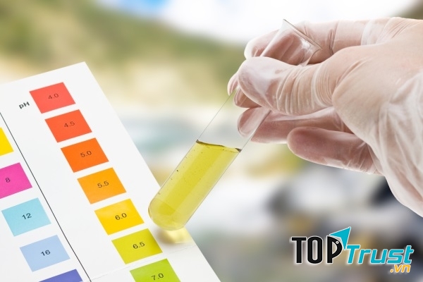 Nước tiểu màu vàng sẫm, dấu hiệu của bệnh thận