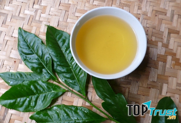 Nước trà xanh