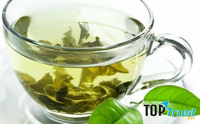 Nước trà xanh giúp tăng đề kháng ngăn ngừa nhiều bệnh tật