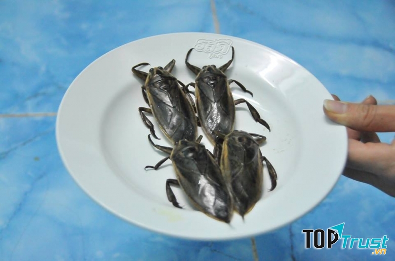Tinh dầu cà cuống rất tốt cho sinh lực phái mạnh