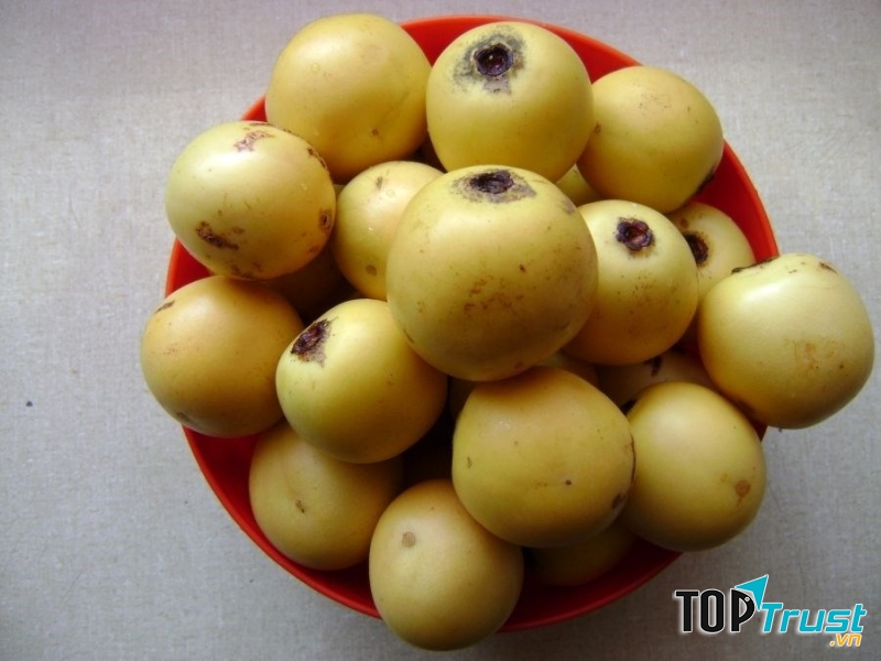 Quả Marula