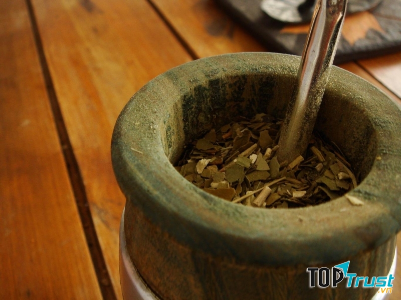 Trà Yerba Mate