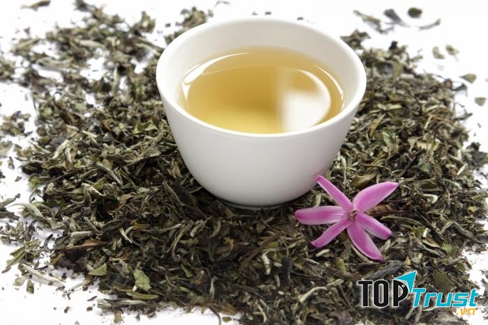 Hồng trà Nam Phi làm từ cây Rooibos