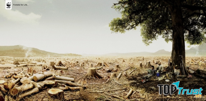 Sa mạc khô cằn trong poster tuyên truyền của WWF