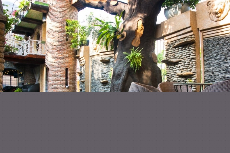 Không gian cafe Oasis