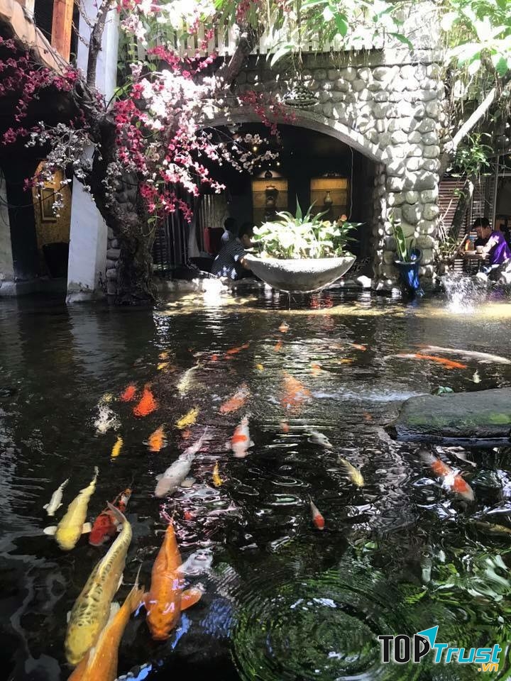 Oasis Cafe Phạm văn Đồng