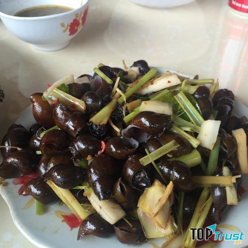 Ốc hẻm cây xoài