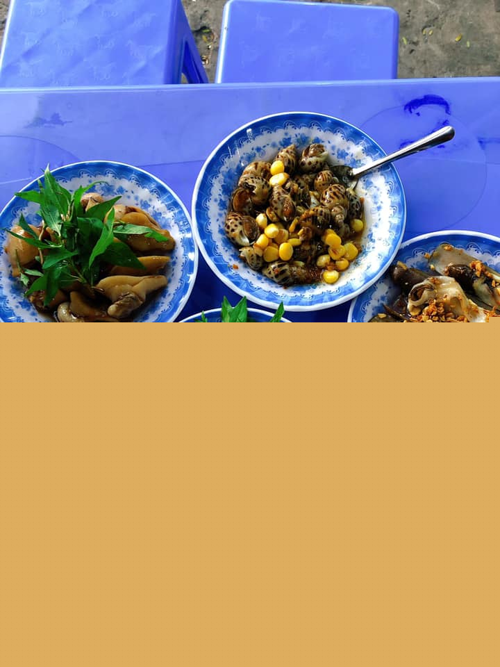 Các món ăn sau khi đã chế biến. Hình: Ốc chảo 519