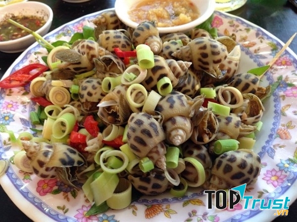 Ốc hương tự nhiên Nha Trang