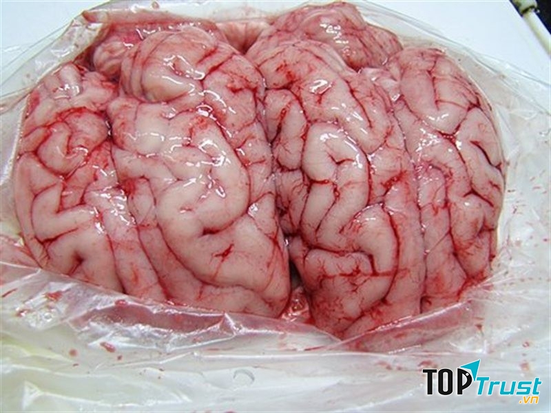 Óc lợn chứa những khoáng chất phổ biến như: Canxi, phốt pho, sắt