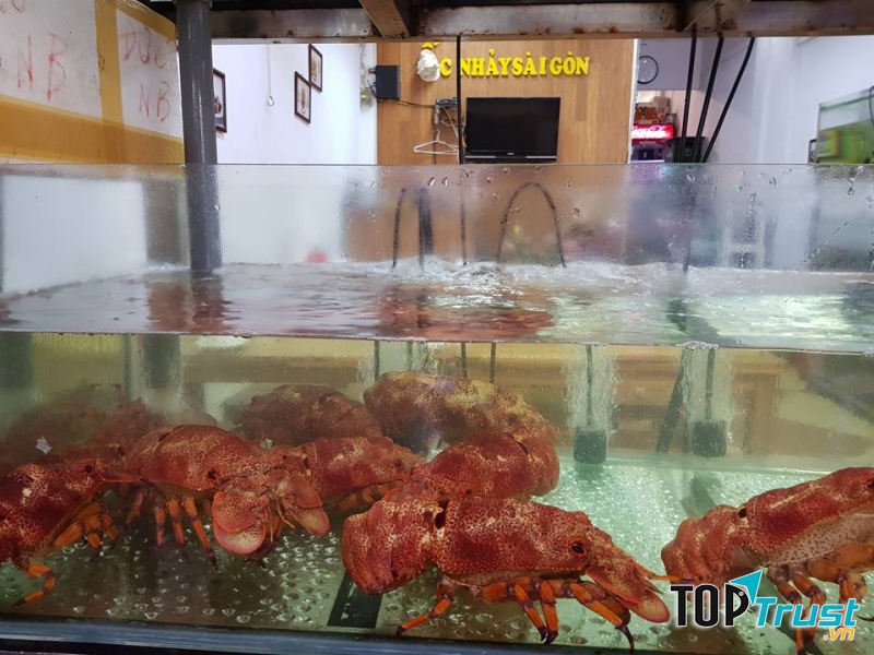 Hải sản luôn tươi ngon tại Ốc Nhảy Sài Gòn - Hào Nam