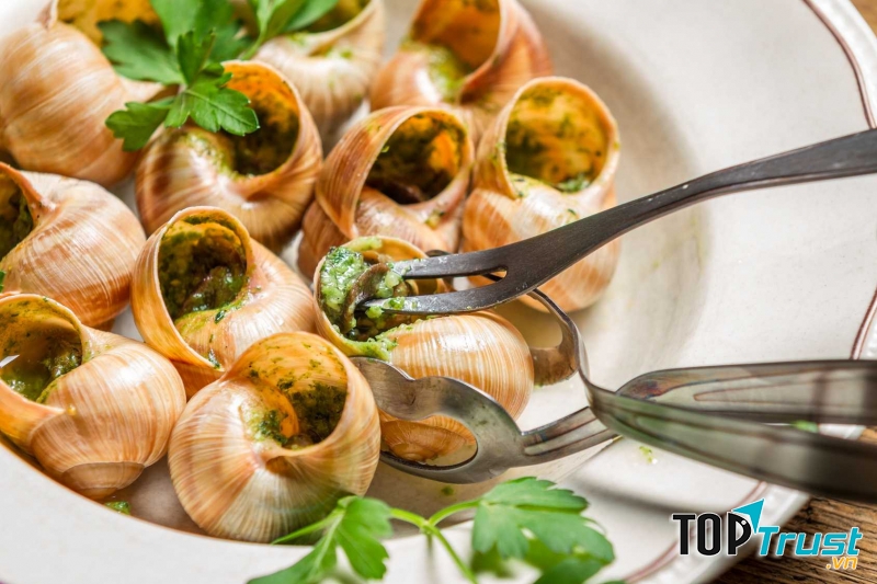 Chỉ tính riêng phần thịt ốc đã chiếm 15% protein và rất ít chất béo. Ngoài ra còn có tác dụng chữa các bệnh về khớp, đau lưng…