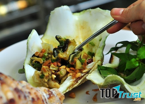 Ốc tai tượng Côn Đảo