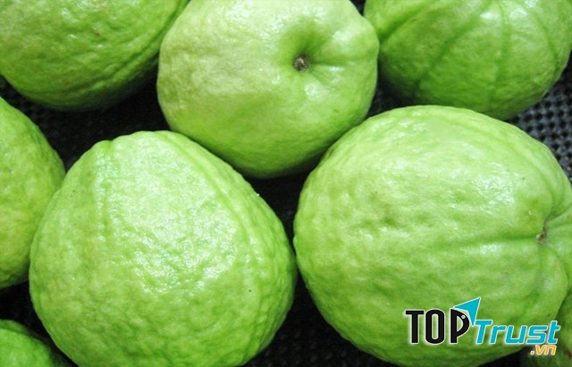 Chữa ho bằng quả Ổi