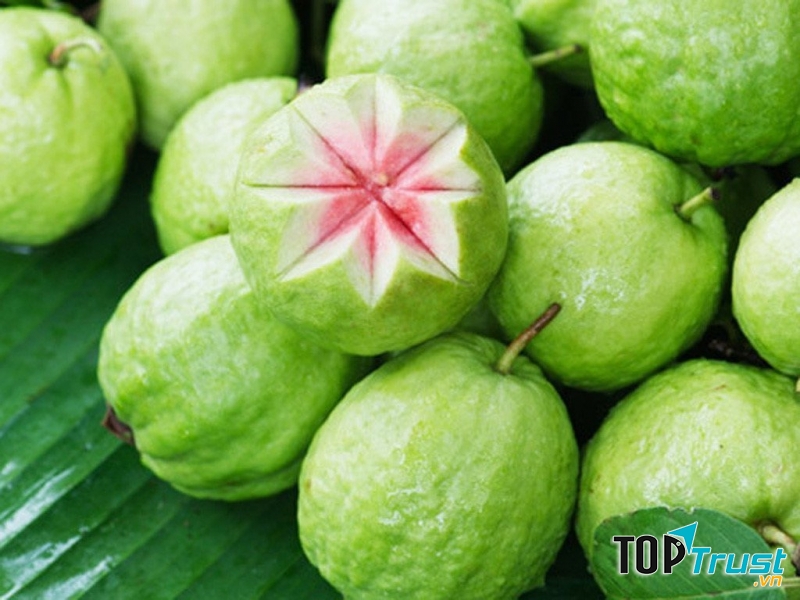 Ổi ruột đỏ có mùi thơ đăc trưng