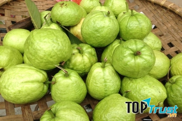 Người ăn ổi cảm nhận vị chát, sau đó là vị chua dịu rồi vị ngọt.﻿