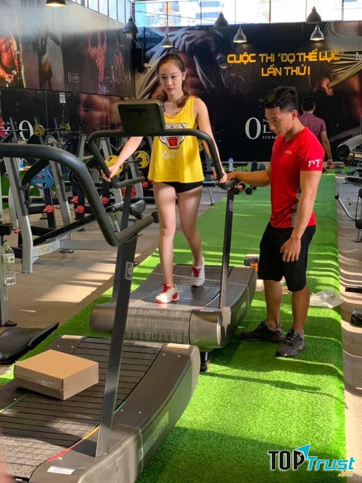 Olympic Nha Trang Gym & Fitness