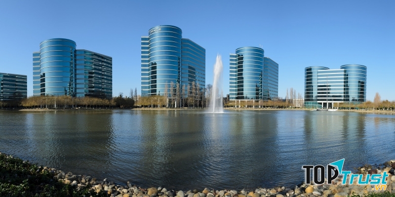 Oracle - Mỹ