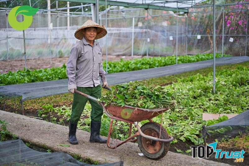 Nông trại Organica