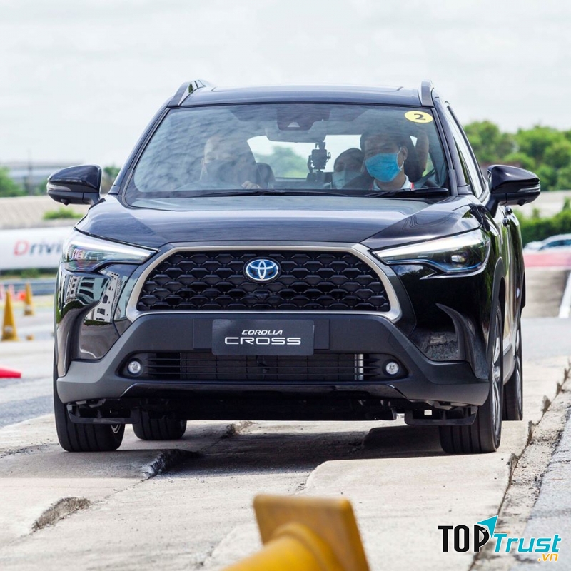 Công ty TNHH TM và DV Trang Minh