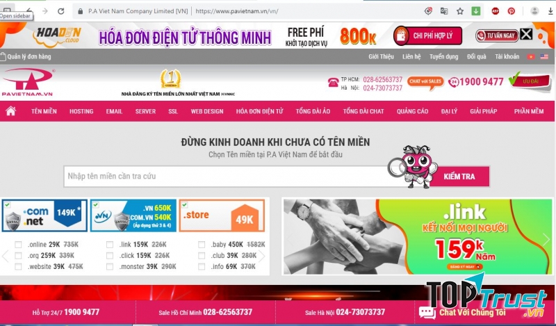 Giao diện kiểm tra tên miền trên P A Việt Nam