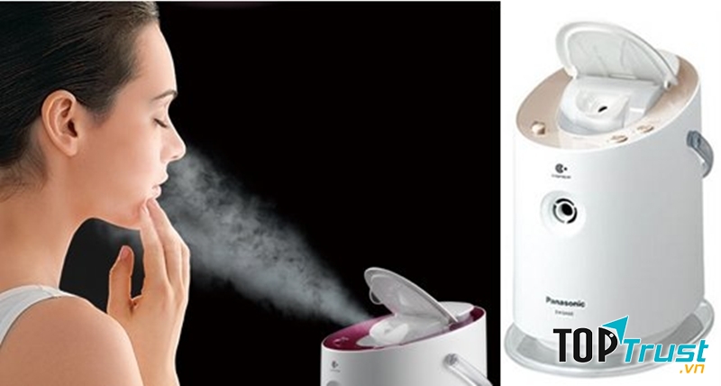 Panasonic Face Steamer
