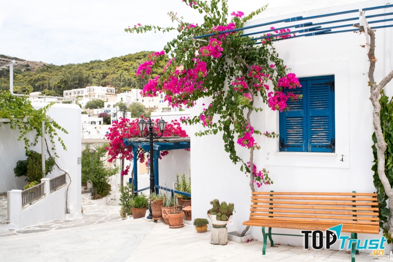 Khung cảnh ở Paros luôn tràn ngập cây xanh mát mẻ