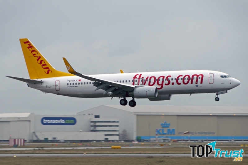Pegasus Airlines