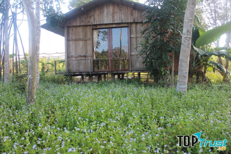 Pepper Farm