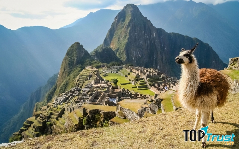 Peru