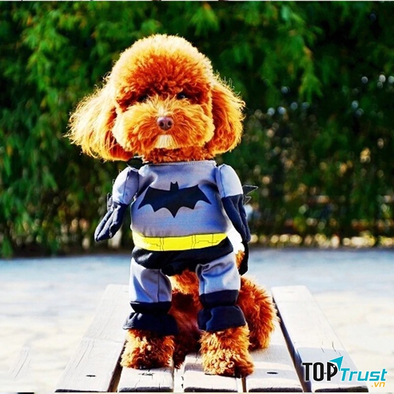 Đã đủ ngầu chưa nhỉ?