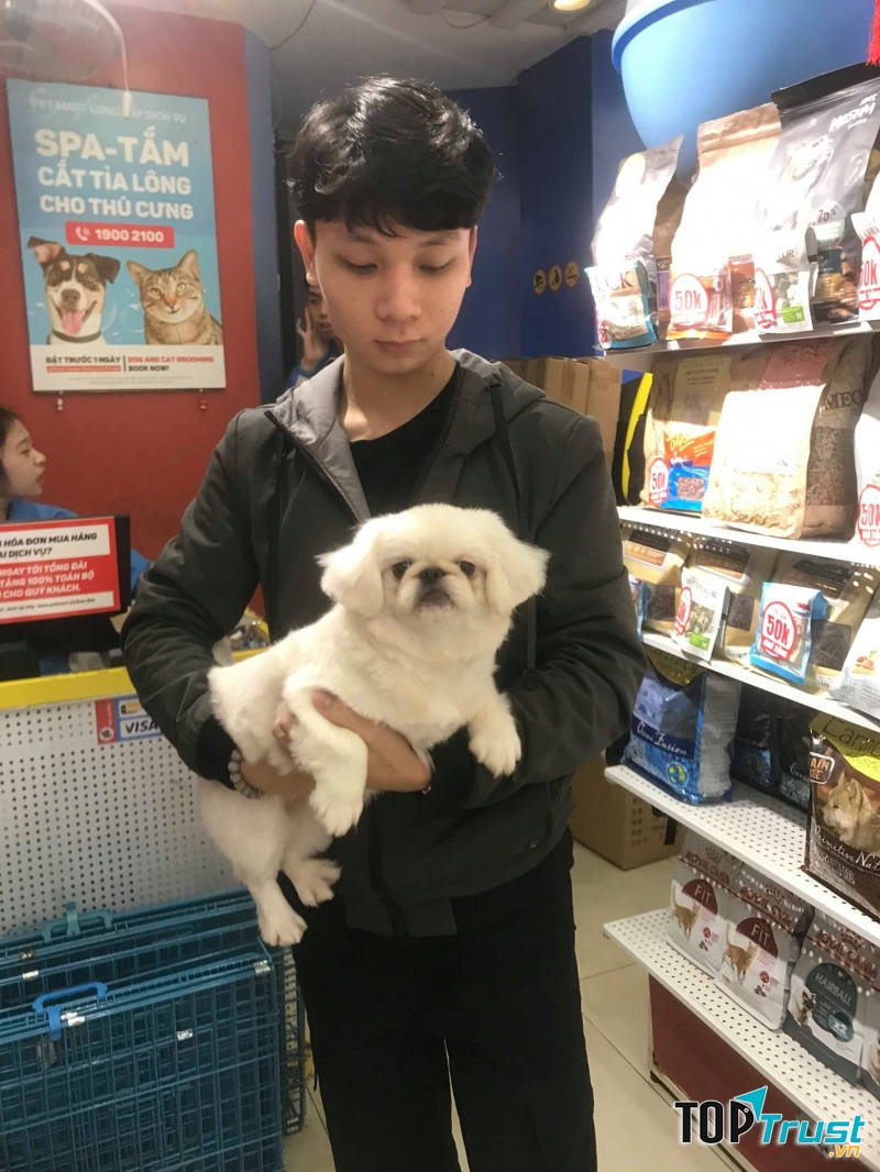 Pet Mart - Hệ Thống Siêu Thị Thú Cưng