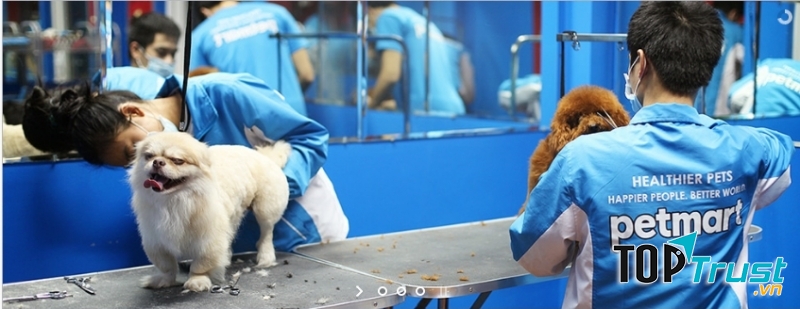 Pet Mart - Hệ Thống Siêu Thị Thú Cưng