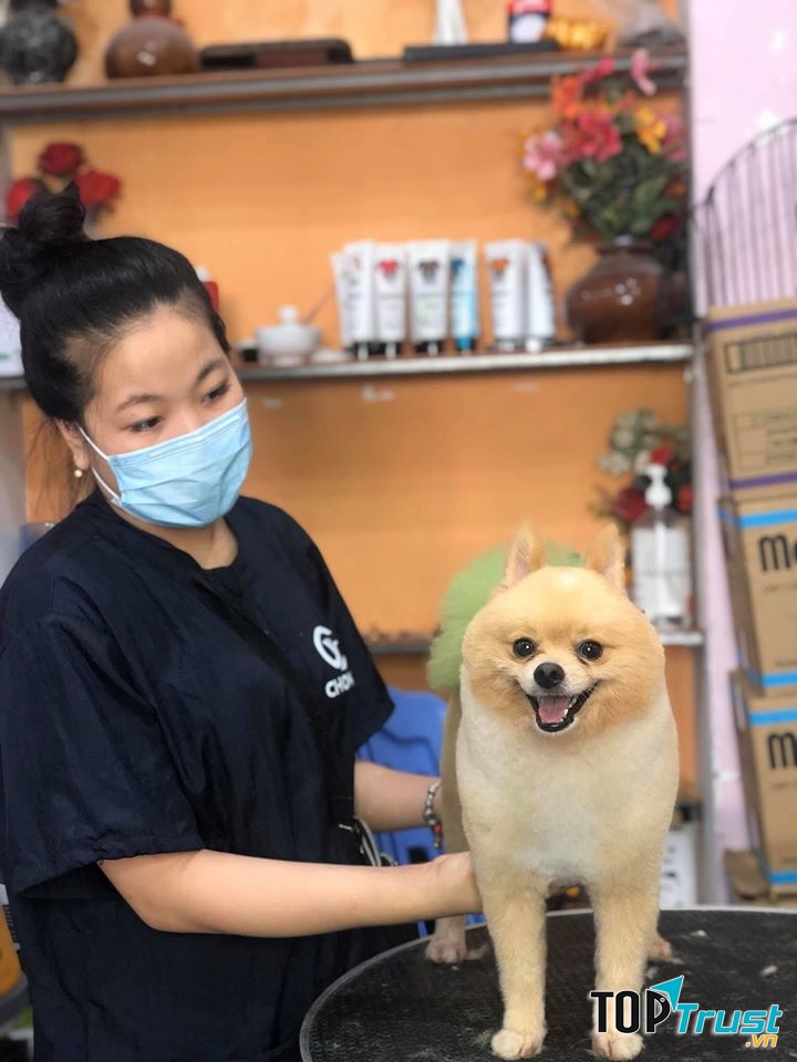 Pet Mini Shop