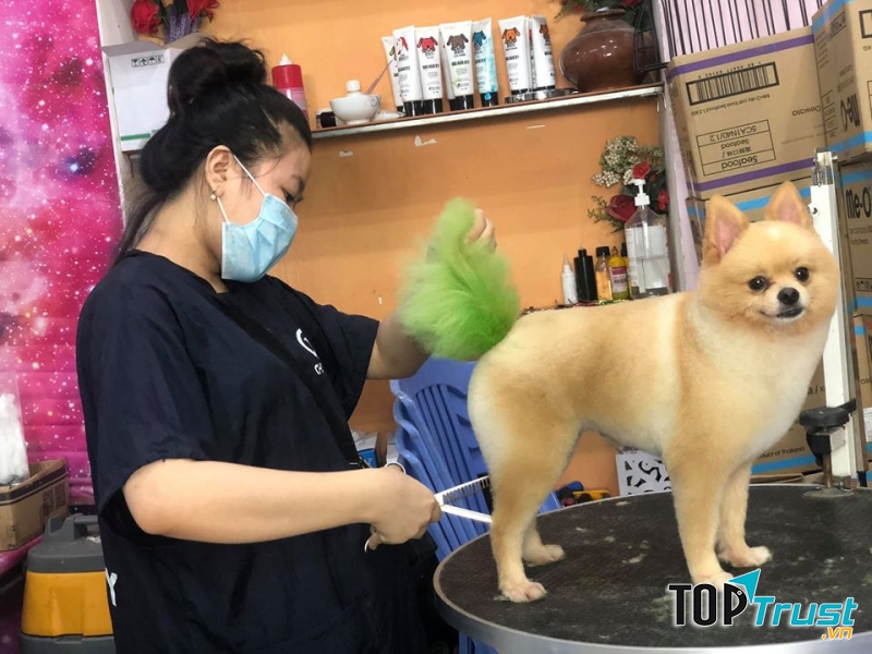 Pet Mini Shop