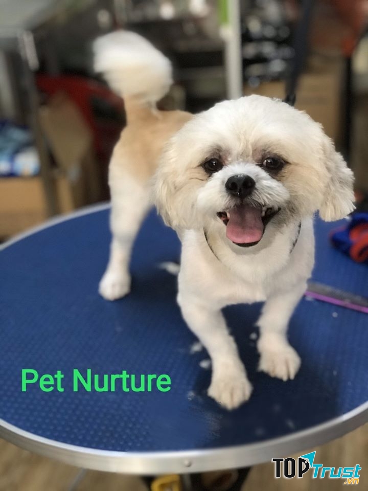 Pet Nurture
