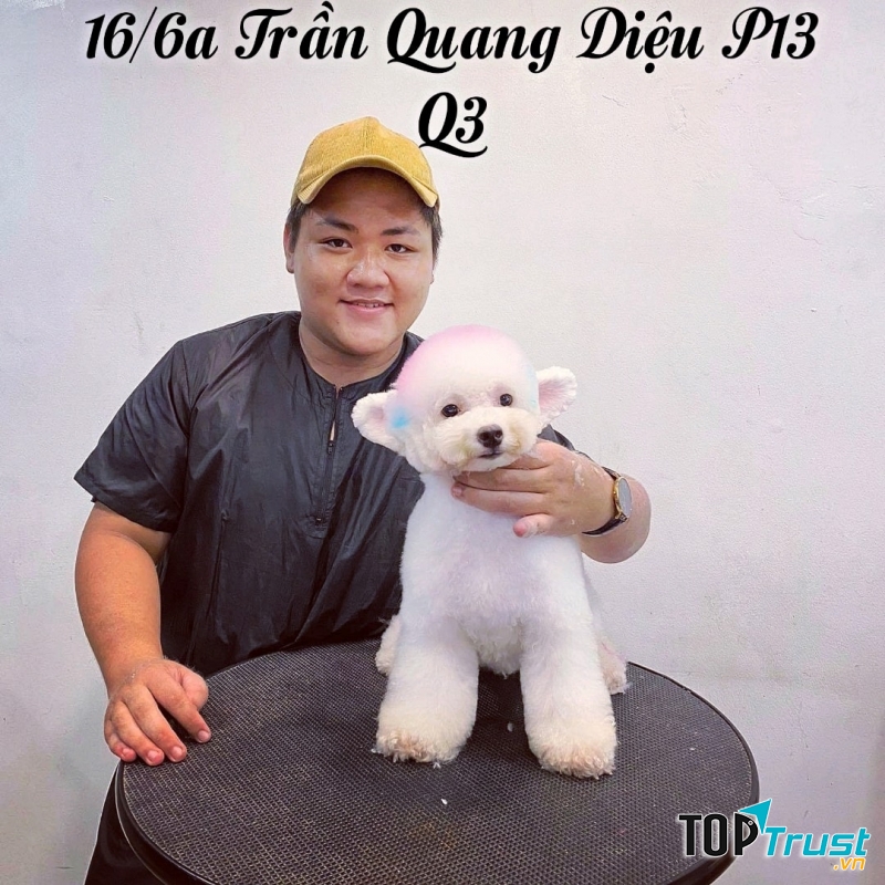 Pet Service - spa and grooming