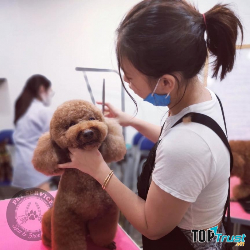 Pet Service - spa and grooming
