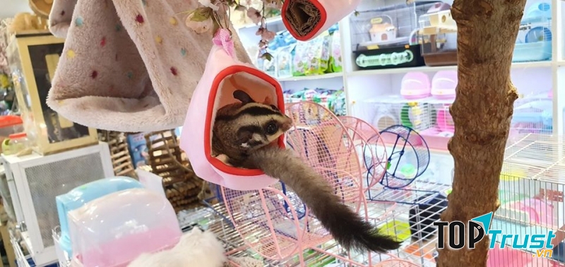 Pet shop Miền Đất Hứa