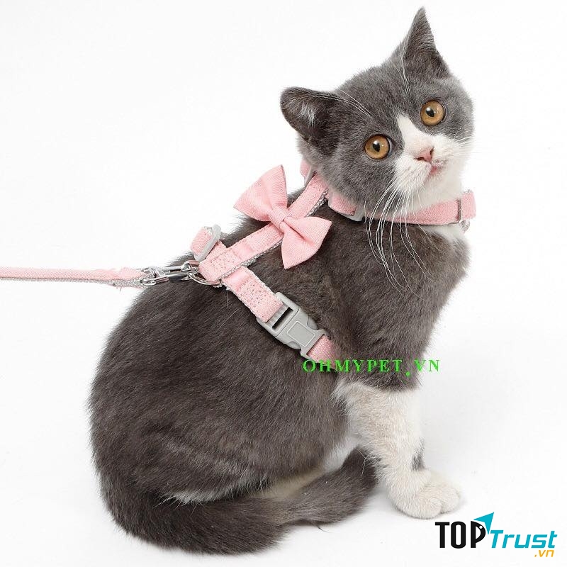 Dây dẫn cũng phải xinh nhé!