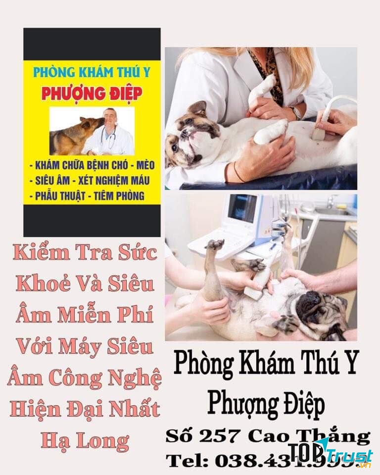 Pet Shop Phượng Điệp