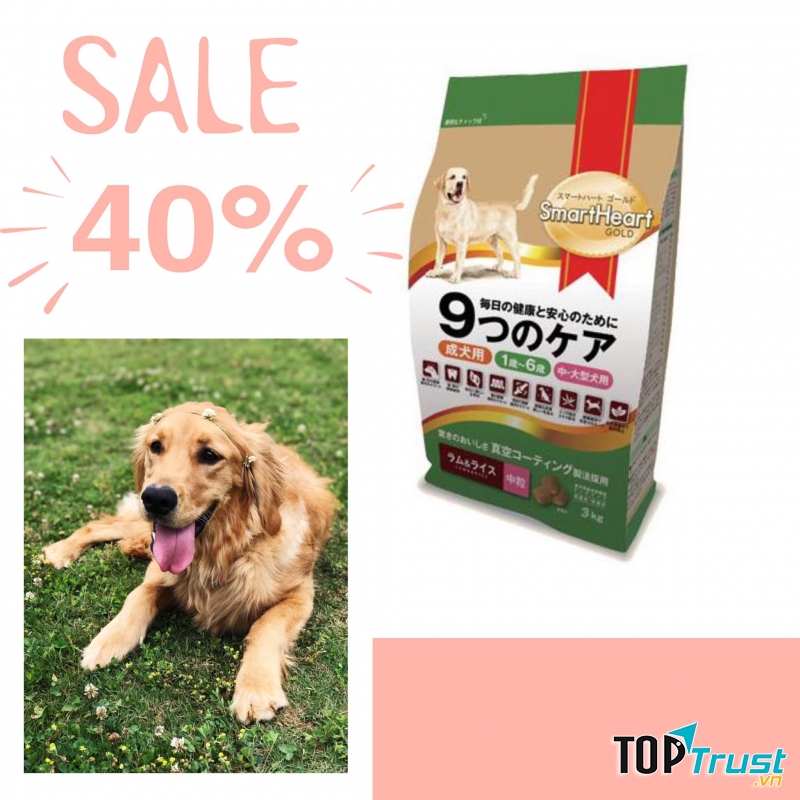 Pet Shop Phượng Điệp