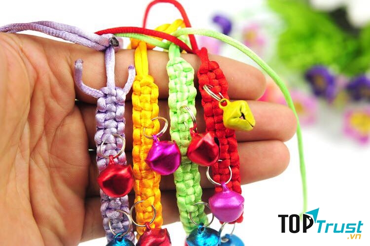 Pet Store Thái Nguyên